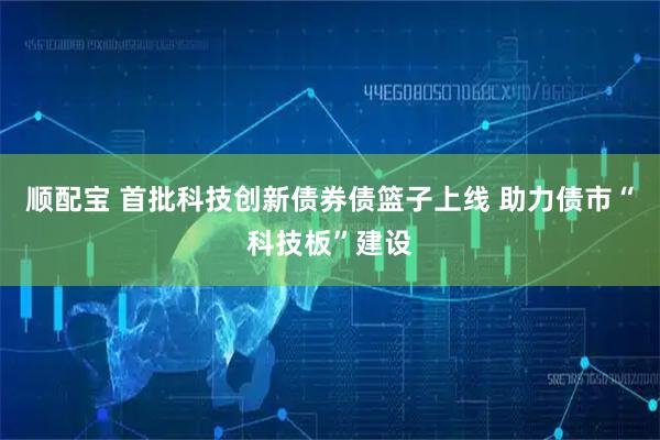 顺配宝 首批科技创新债券债篮子上线 助力债市“科技板”建设