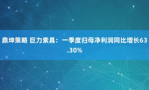 鼎坤策略 巨力索具：一季度归母净利润同比增长63.30%