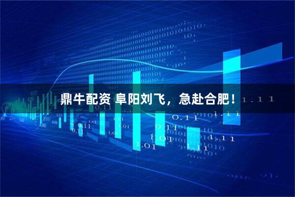 鼎牛配资 阜阳刘飞，急赴合肥！